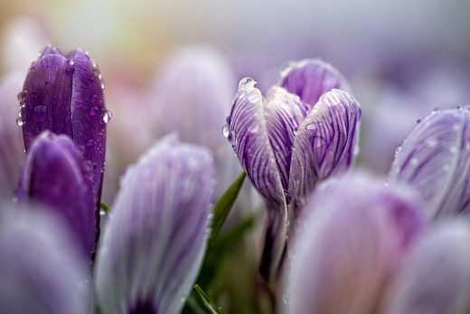 1758295 (a): :5760x3840